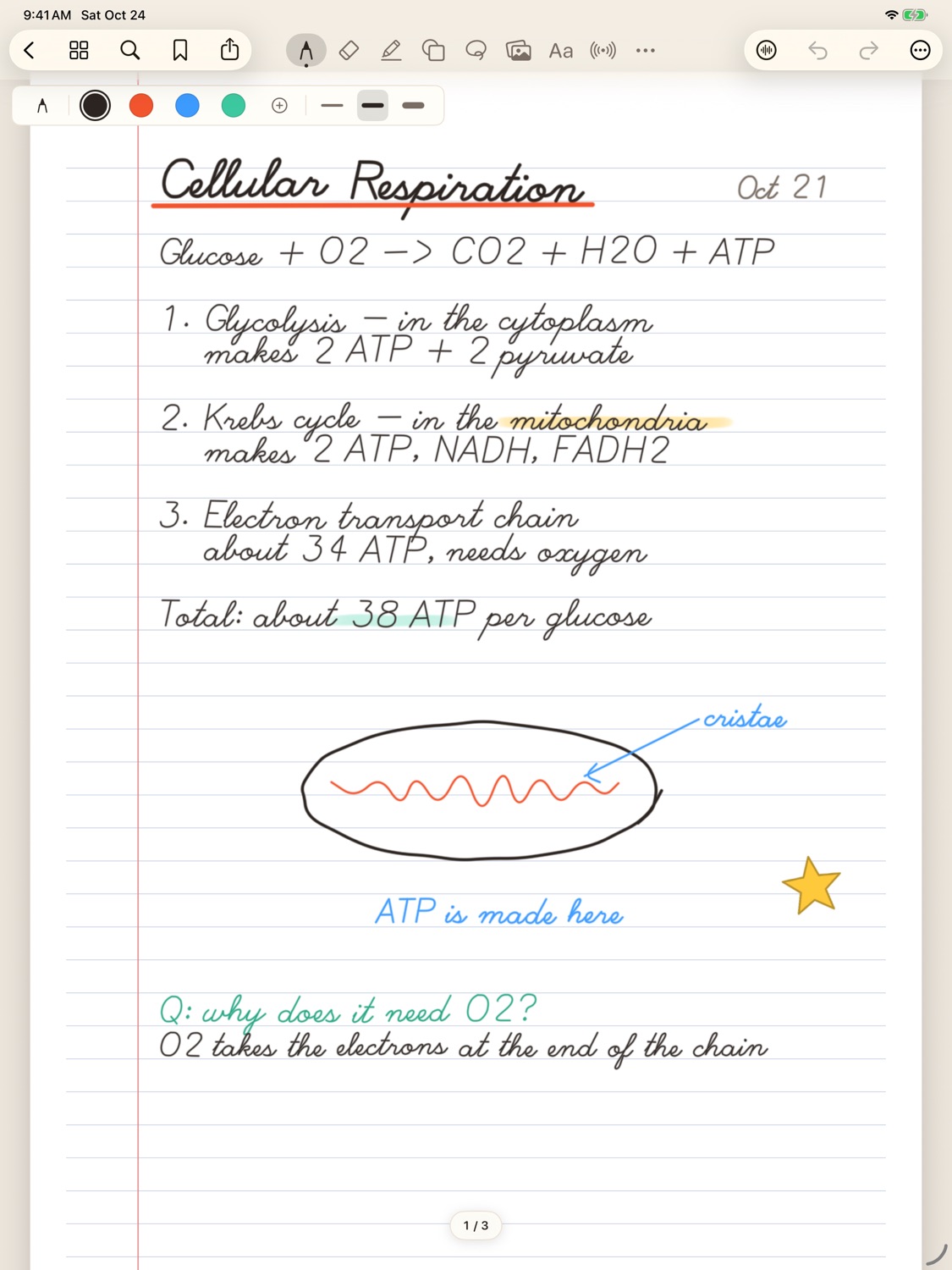 A Biology notebook page with handwritten notes on cellular respiration, a highlighted word, a sketched mitochondrion and a star sticker