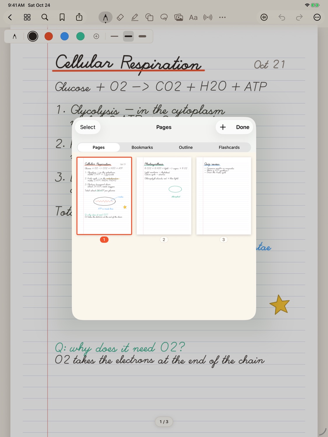 The page navigator showing three handwritten pages as thumbnails